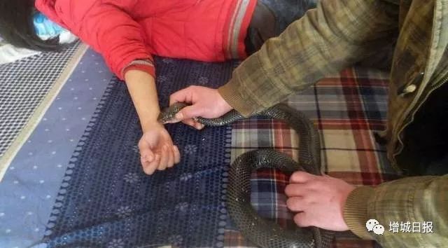 一男子用民间偏方治病险送命！这些偏方都是血淋淋的教训，千万别信