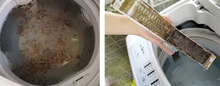 它的菌含量居然是马桶的530倍，你还在每天用