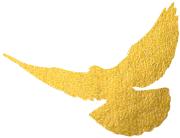 普莱柯生物张许科,创新创业与家国情怀