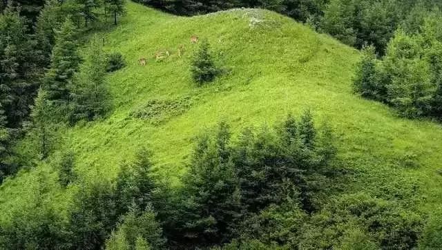 早安内蒙古自治区,早安乌兰察布市