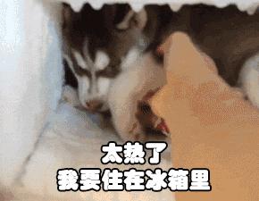 天气太热了孩子不爱吃饭咋办,天热孩子不爱吃奶怎么办