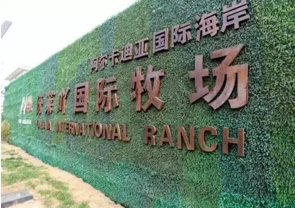 北戴河玩海夏令营,暑期海滨夏令营