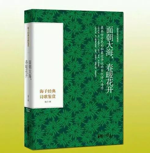 北戴河玩海夏令营,暑期海滨夏令营