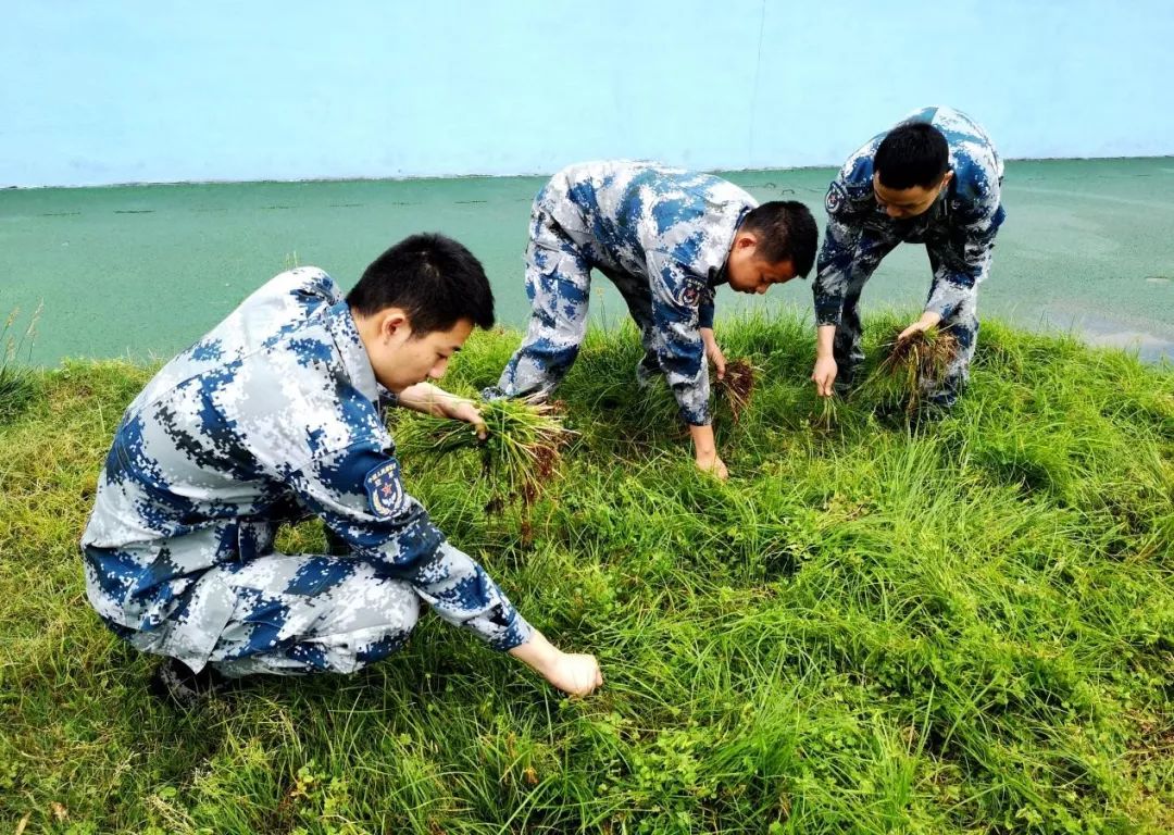 外科医生甲沟炎,甲沟炎医生推荐