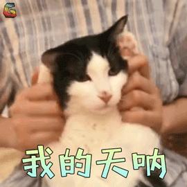 消费券限时领取,免费送消费券领取