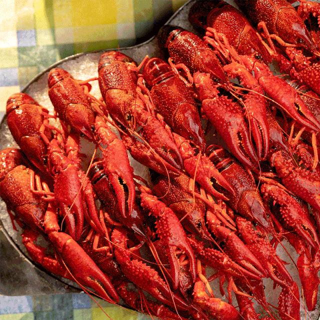 猪笼城寨现状,成都猪笼城寨