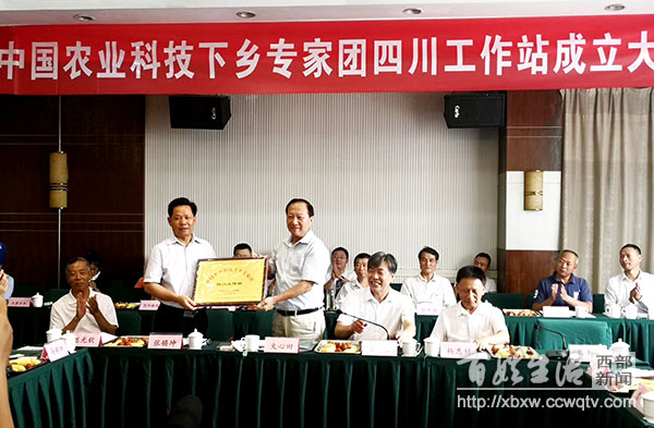 中国农业科技大学下乡专家团,中国农业科技下乡工作站