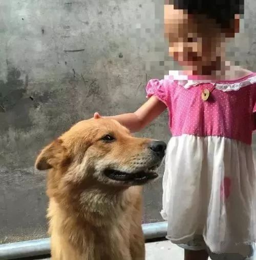 4岁女孩头发几乎掉光，头皮流脓！原因竟和家里这个有关