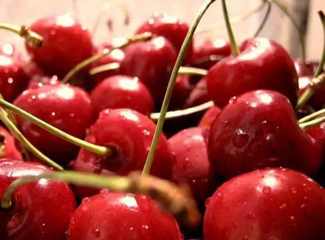 别怪俺没提醒你！这几天千万别去蓬莱，不然有你好果子吃！