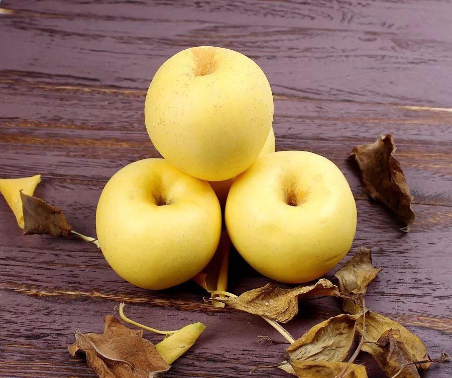 别怪俺没提醒你！这几天千万别去蓬莱，不然有你好果子吃！