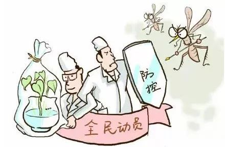 @全体南宁人，赶紧翻盆倒罐动起来！“三红”、“三痛”又是啥?