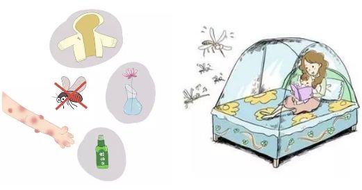 @全体南宁人，赶紧翻盆倒罐动起来！“三红”、“三痛”又是啥?