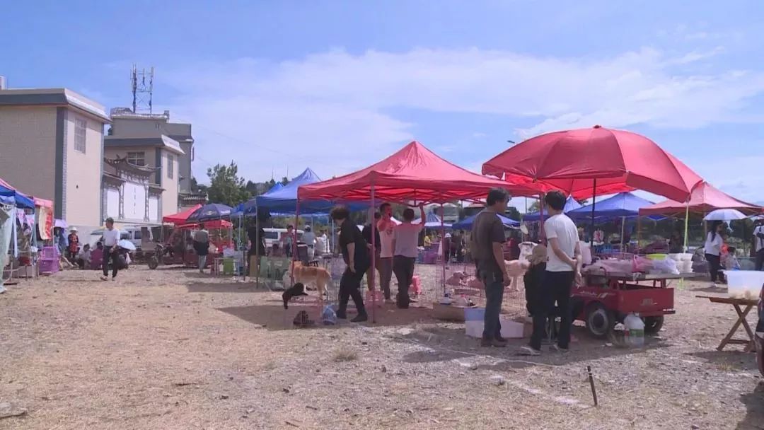 狗市下关,狗市搬迁