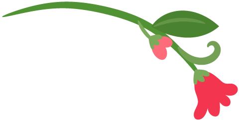 毕业生档案补办,毕业生报到证补办怎么搞