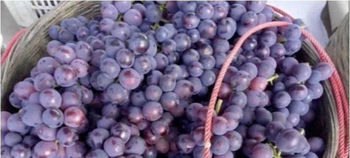 到了日本才知道的真相,到日本才知道的事