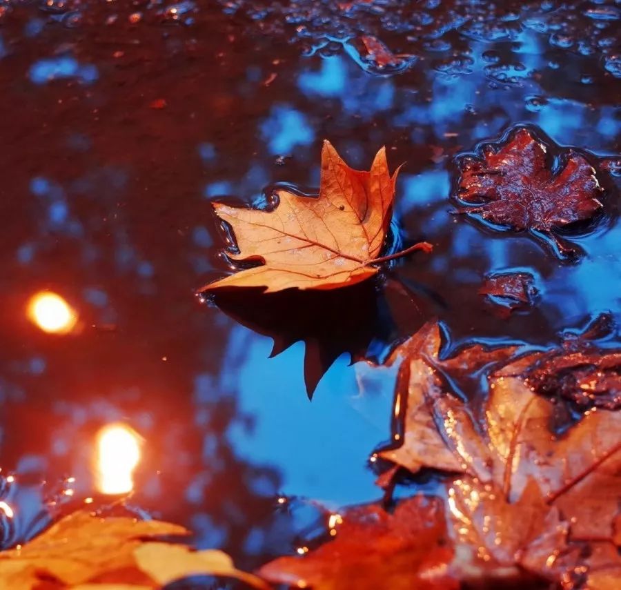 原来，西安还有这样一条“宝藏路”：友谊路