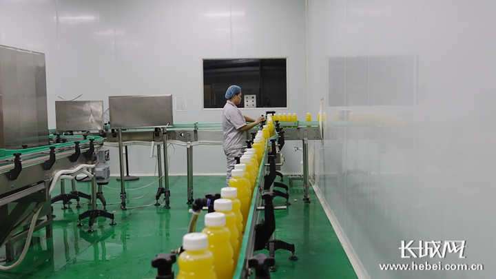 巨鹿：老“三宝”翻出新花样