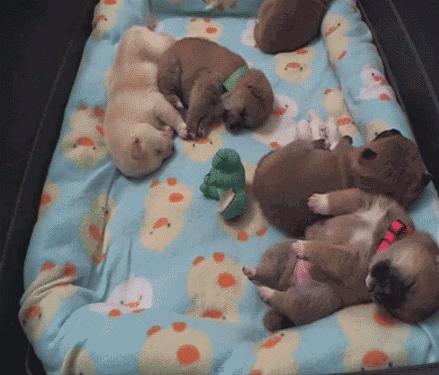 午睡虽好但别趴着睡损伤身体,关注办公室午休千万别趴着睡