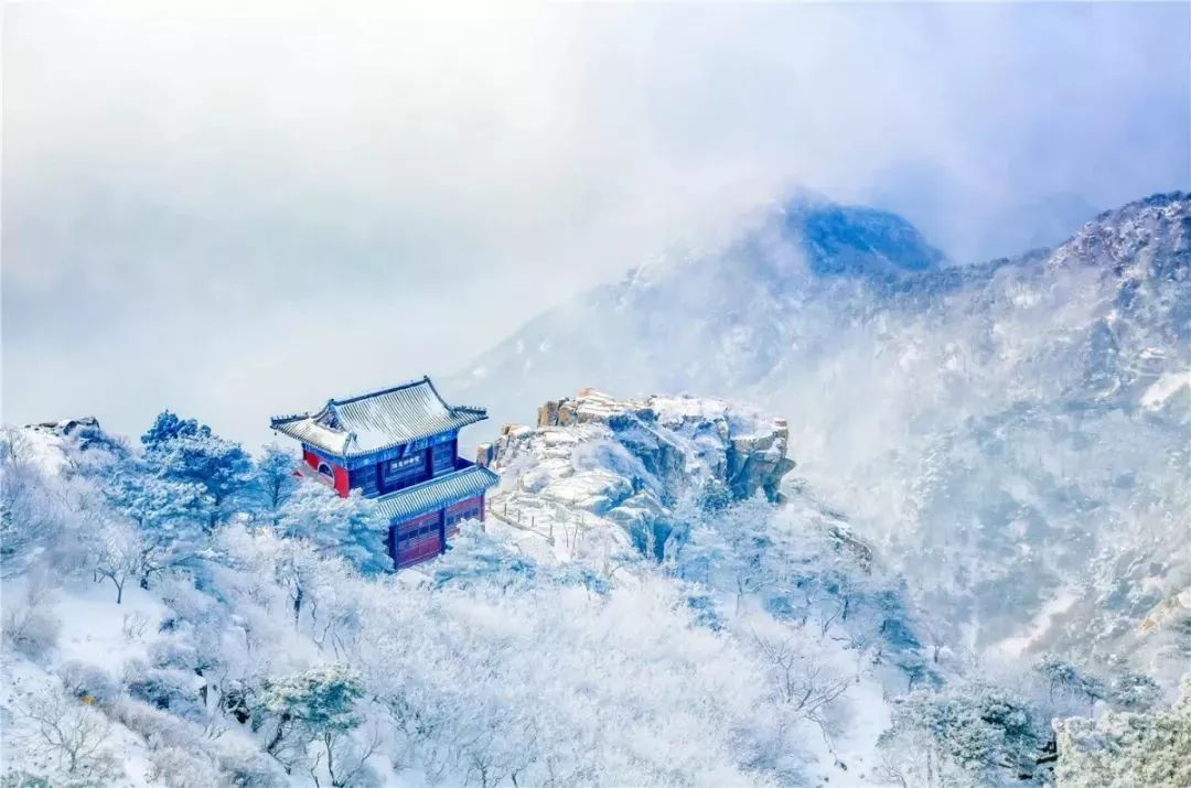 天下第一山泰山视频,天下第一山天子山