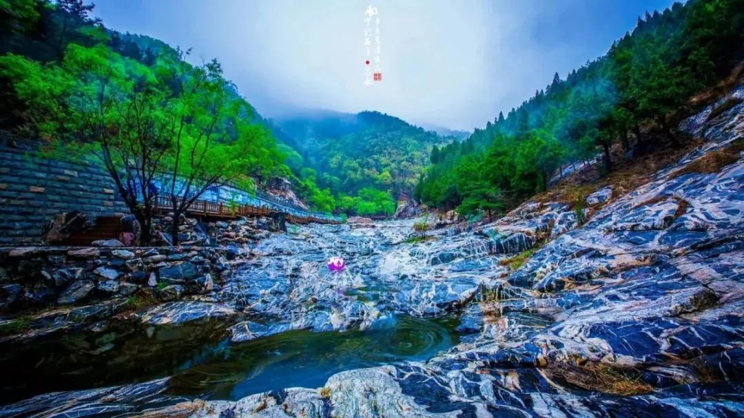 天下第一山泰山视频,天下第一山天子山