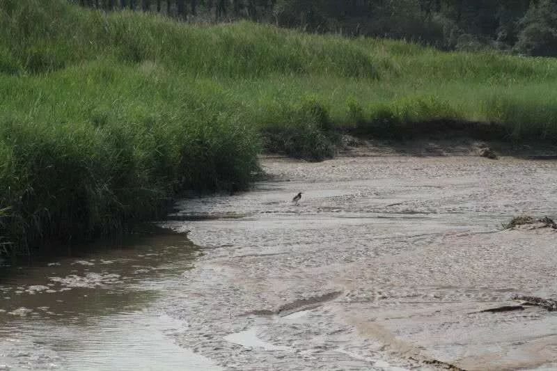 太阳升起在桑干河上,太阳照在了桑干河上朗读