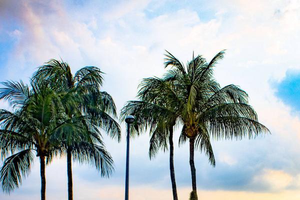 马来西亚工作签证资料,去马来西亚需要签证吗