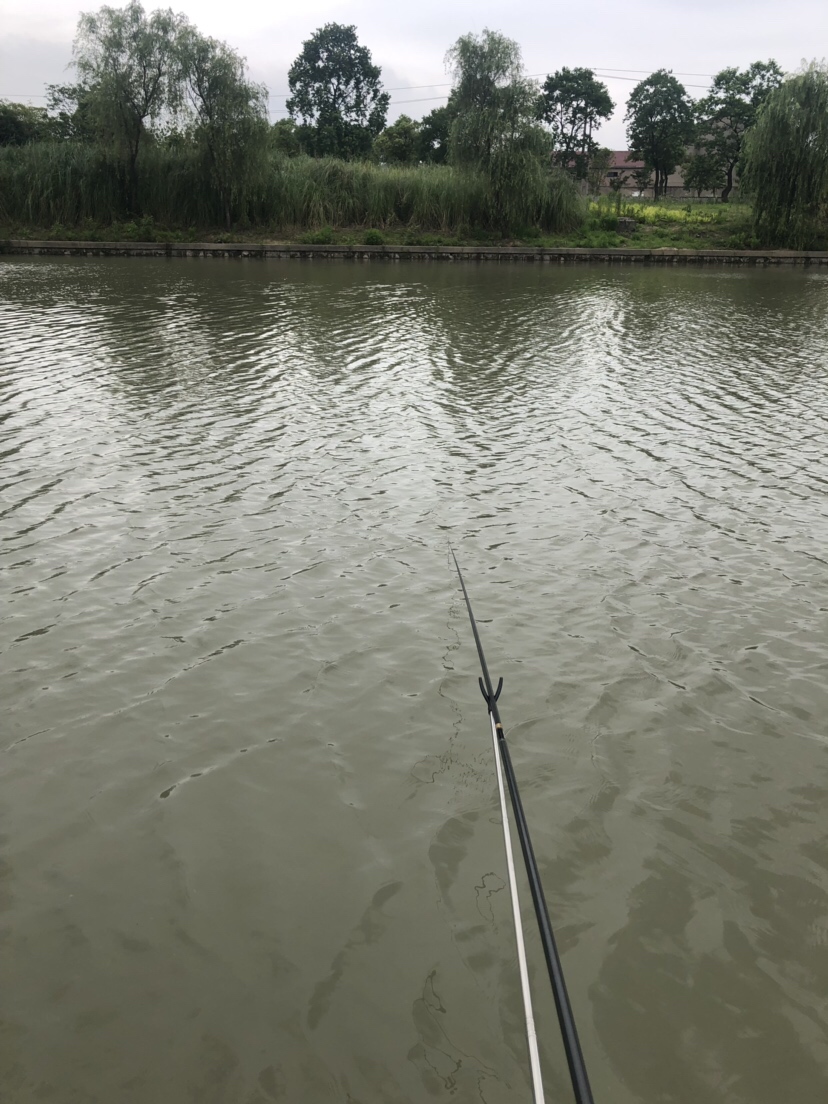 风大浪大好钓海鱼吗,风大浪大钓底还是钓浮