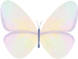 斗罗大陆最强的魂兽帝天,斗罗大陆海神岛最强魂兽