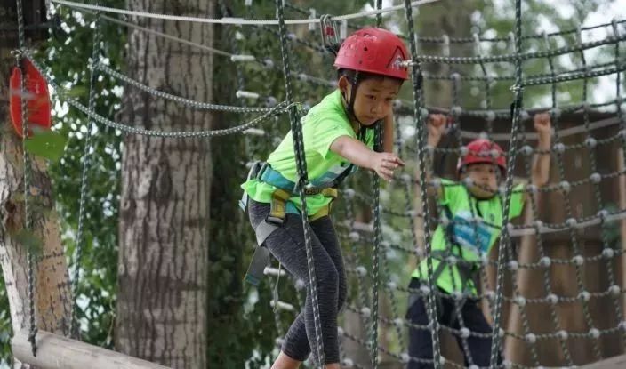北京市月季文化节开幕式,百合节开幕时间