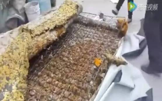 可怕的床垫,睡了10年的床垫拆开全是垃圾
