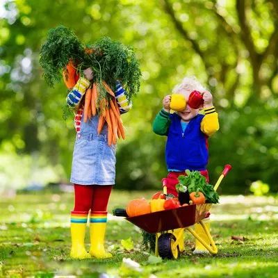 知春湖训练营,知春湖温泉儿童