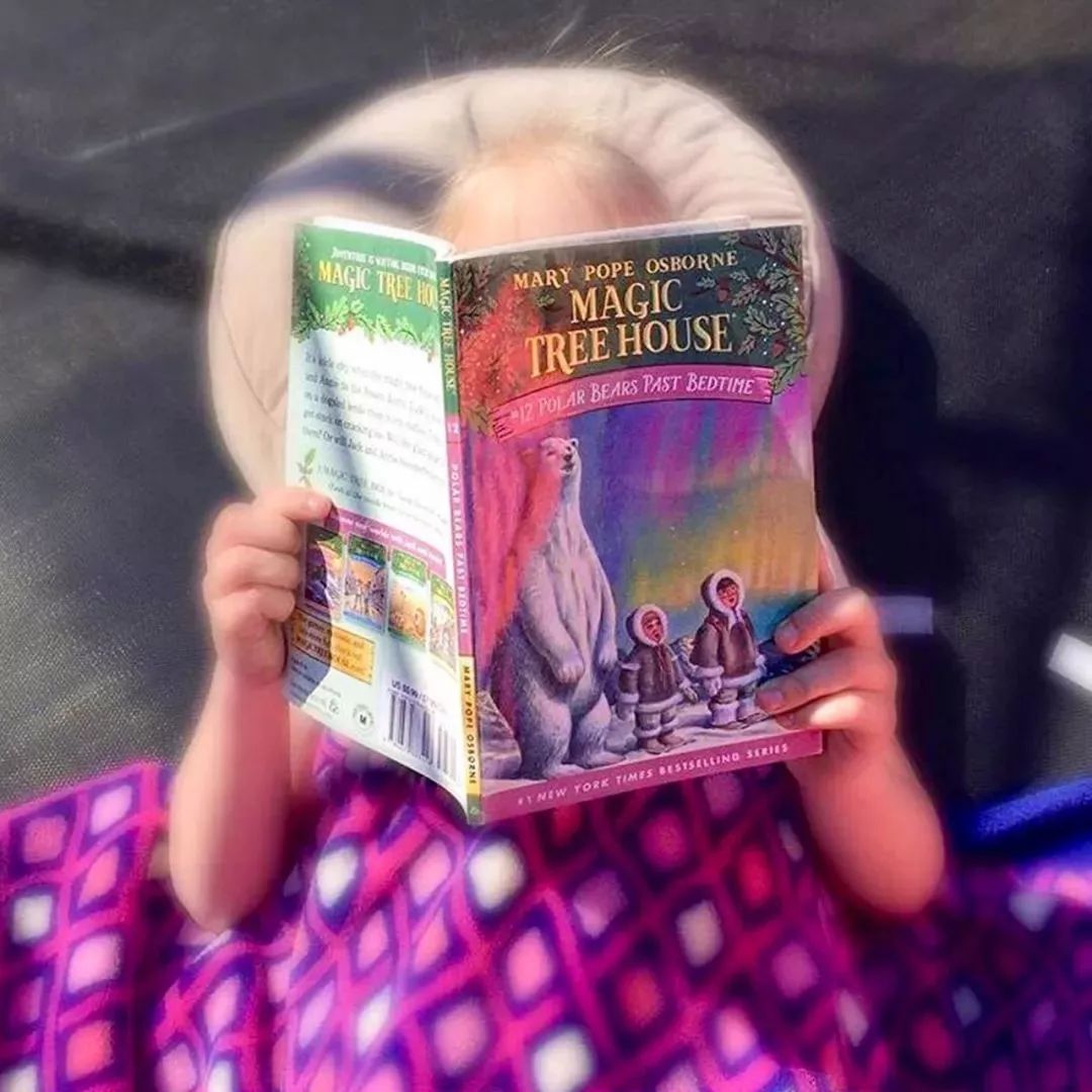 树屋英文原版书单推荐,英文童书神秘树屋