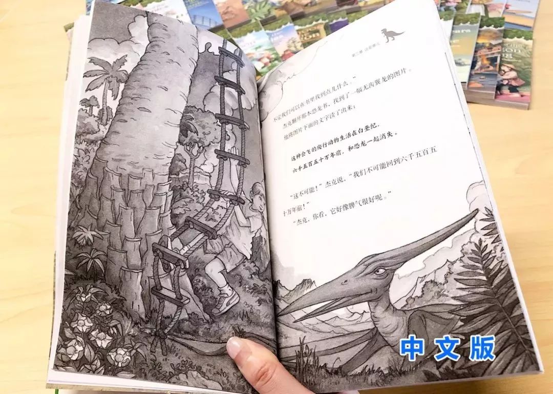 树屋英文原版书单推荐,英文童书神秘树屋