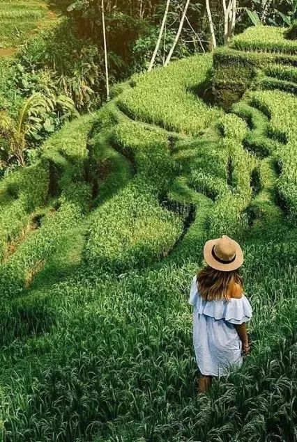 时隔11年，这个奢牌酒店在中国开了第二家，450㎡别墅villa秒杀巴厘岛