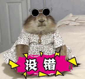 嘉兴市民卡账户的钱怎么用,嘉兴金融市民卡旅游攻略