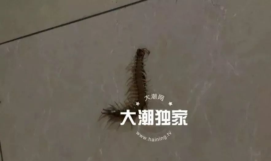 女子半夜惊醒发现有人站床边,女子半夜惊醒陌生男子站在眼前