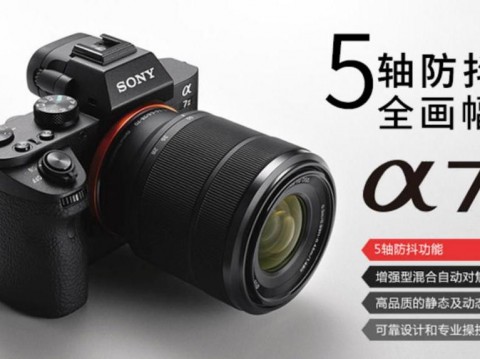 佳能高素质镜头推荐,高性价比单反照相机推荐佳能