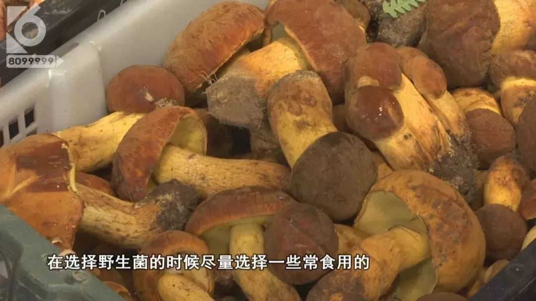 云南吃菌中毒分布图,云南吃菌中毒最新统计