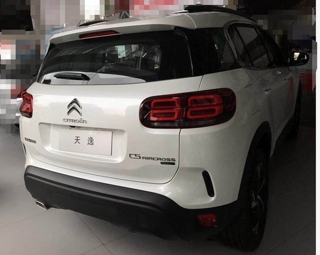 雪铁龙天逸16万,雪铁龙天逸哪年引入的魔毯悬挂