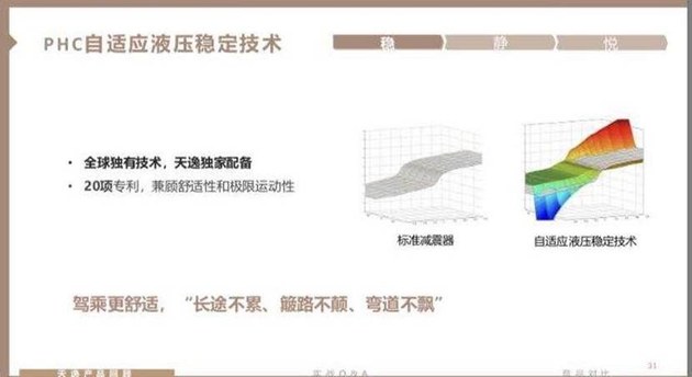 雪铁龙天逸16万,雪铁龙天逸哪年引入的魔毯悬挂