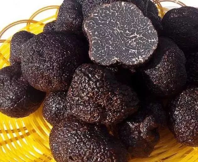 云南吃菌中毒分布图,云南吃菌中毒最新统计