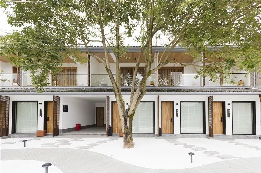 又挖到个21℃的清凉山城，还藏着人均¥300+就能入住的浙南“小星野”，仅限200套