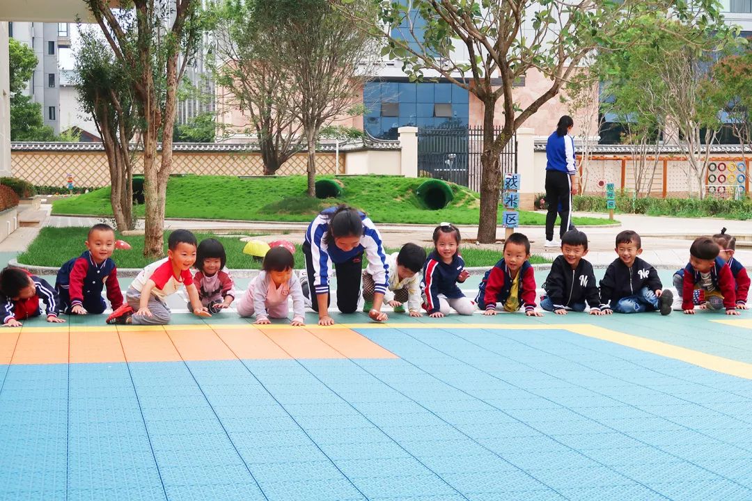 丽江五大民办幼儿园,丽江幼儿园推荐