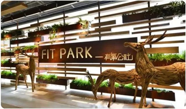 看高岛屋谢幕：数学与美学的徘徊