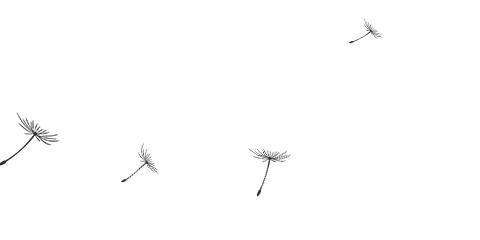 银纳米材料的制备和表征,纳米材料制备与应用