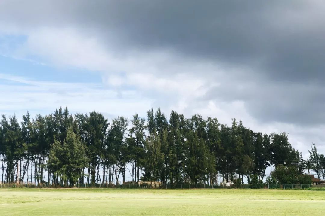 夏威夷旅游攻略阿罗哈,夏威夷maui岛旅游攻略
