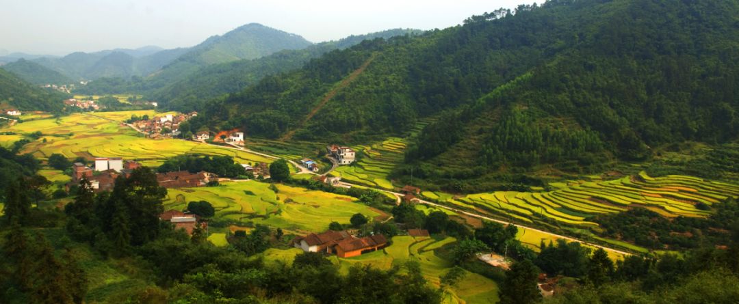 别拦我我要回家图片,别拦我我要回家