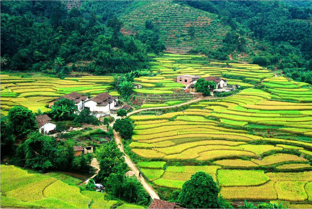 别拦我我要回家图片,别拦我我要回家