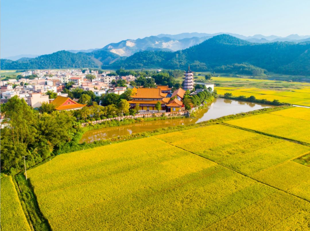 别拦我我要回家图片,别拦我我要回家