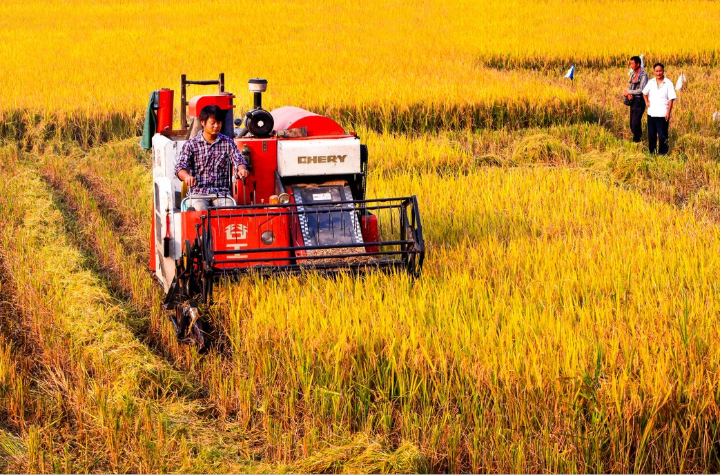 别拦我我要回家图片,别拦我我要回家